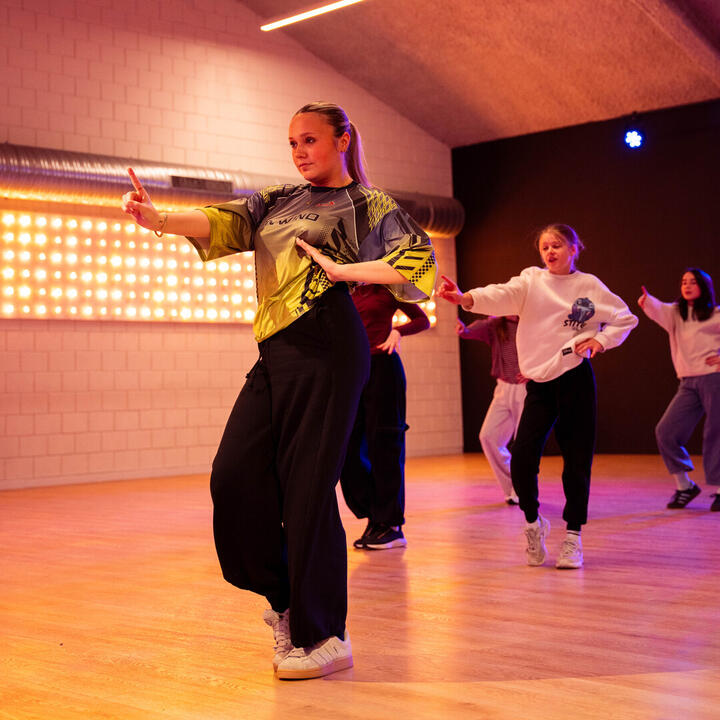 Dansworkshop Urban Commercial door Showcase Studio