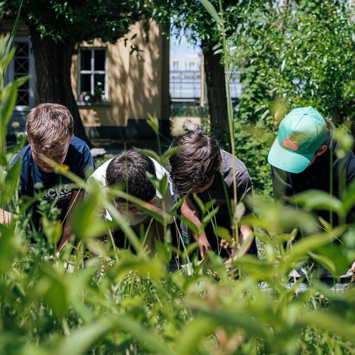 Bezoekers in de plantentuin van Kina