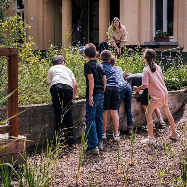Kinderen op ontdekking in de plantentuin van Kina