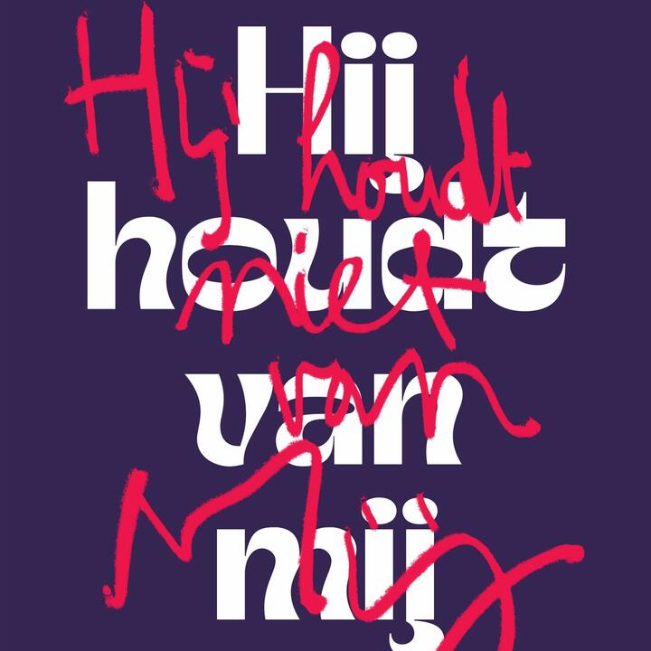 Hij houdt van mij, hij houdt niet van mij. Alle stappen van een liefdesrelatie, van het prille begin tot het bittere eind, verteld in 12 songs, live gezongen en begeleid.