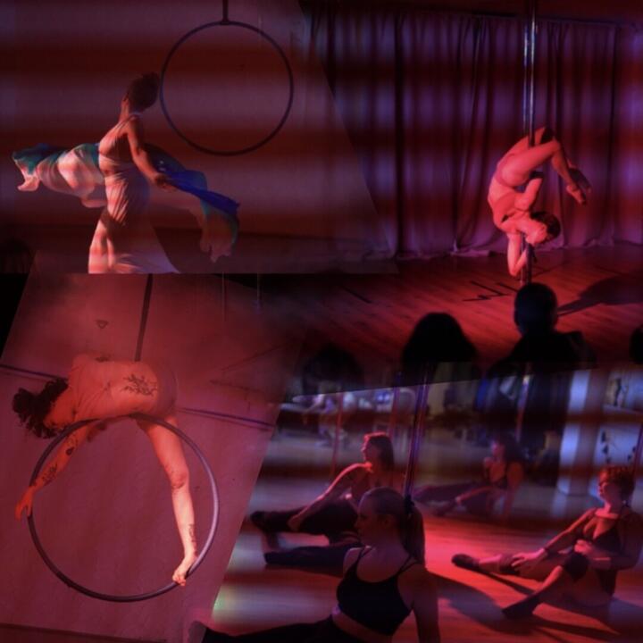 Showteam De Polecats Fabriek