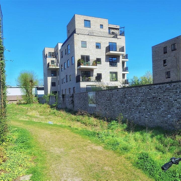 Zicht op duurzame woningen met wadi erbij