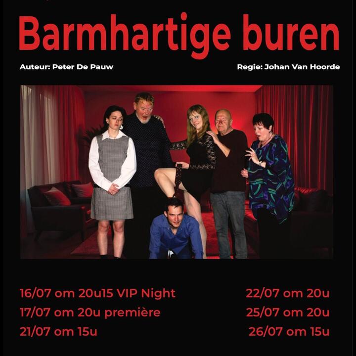auteur Peter de pauw, regie Johan Van Hoorde