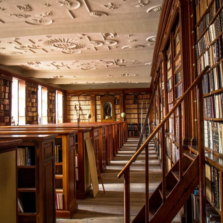 Oude bibliotheek met stucco plafond en verplaatsbare trap