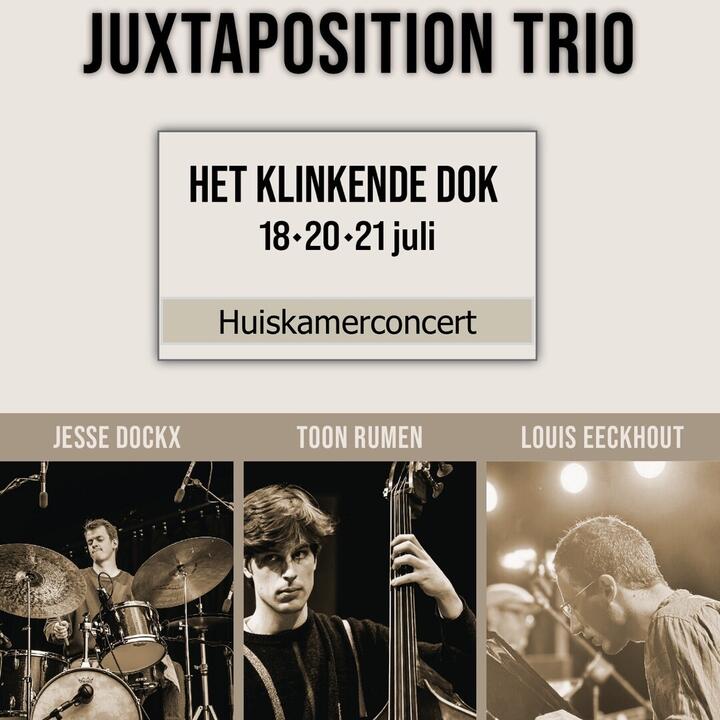 Jazztrio met 3 jonge muzikanten, Louis-piano, Toon-bas, Jesse-drums