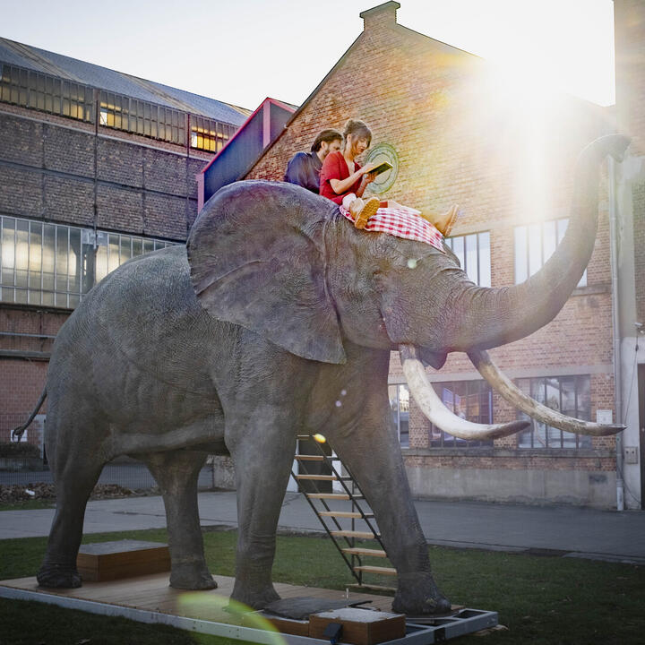 Tembo