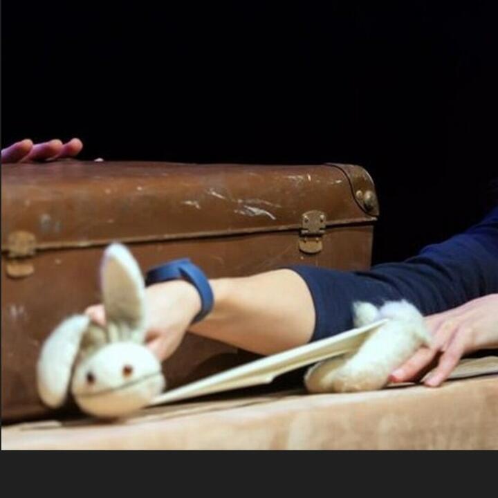 Theater Tique - Konijn!