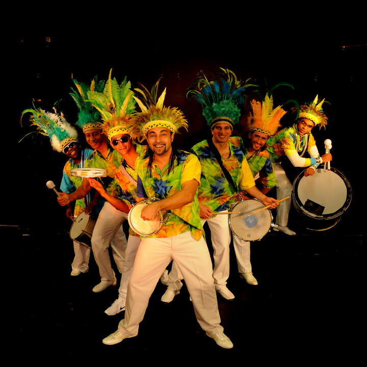 TERRA BRASIL