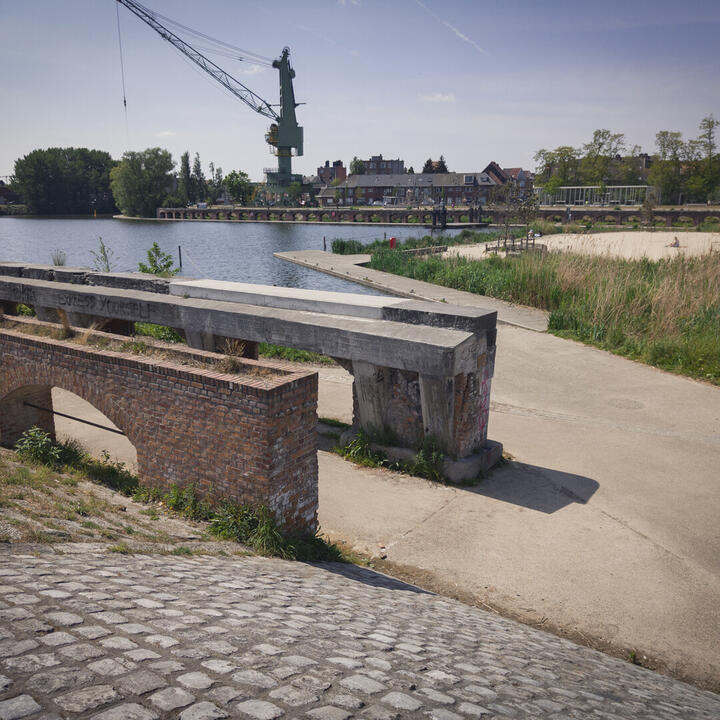 Stadsnatuur aan de oude dokken
