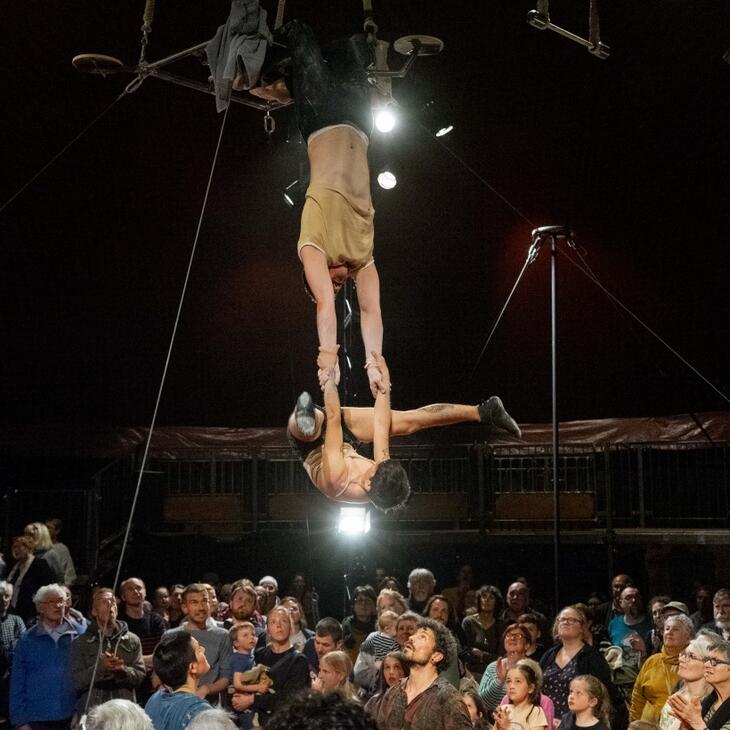 Circusartiesten