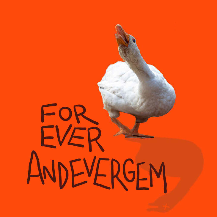 Foreverandevergem promobeeld