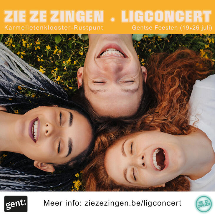 ZZZ Ligconcert
